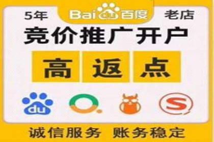 行业标杆：某信息流广告公司的成功投放策略